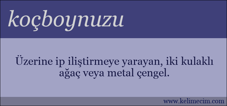 koçboynuzu kelimesinin anlamı ne demek?