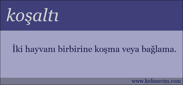 koşaltı kelimesinin anlamı ne demek?