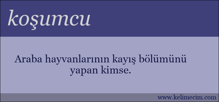 koşumcu kelimesinin anlamı ne demek?