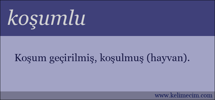 koşumlu kelimesinin anlamı ne demek?