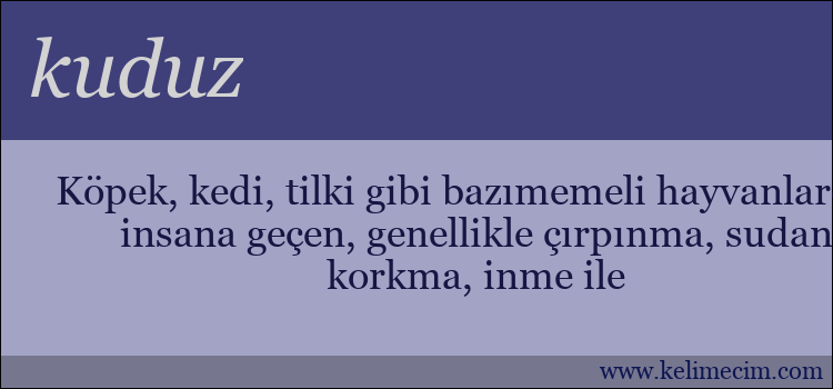 kuduz kelimesinin anlamı ne demek?