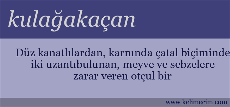 kulağakaçan kelimesinin anlamı ne demek?