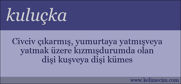 kuluçka kelimesinin anlamı ne demek?