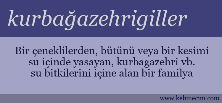 kurbağazehrigiller kelimesinin anlamı ne demek?