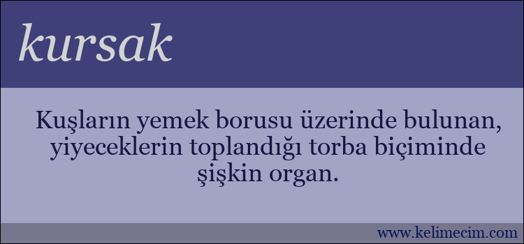 kursak kelimesinin anlamı ne demek?