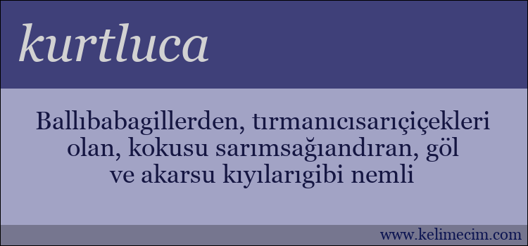 kurtluca kelimesinin anlamı ne demek?