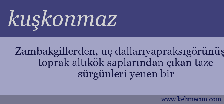 kuşkonmaz kelimesinin anlamı ne demek?