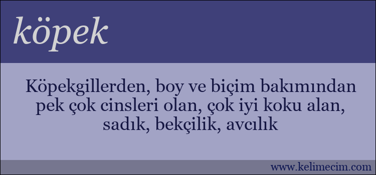 köpek kelimesinin anlamı ne demek?