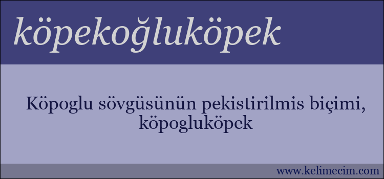 köpekoğluköpek kelimesinin anlamı ne demek?