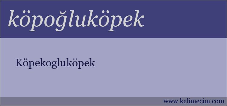 köpoğluköpek kelimesinin anlamı ne demek?