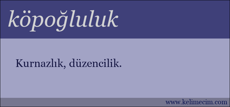 köpoğluluk kelimesinin anlamı ne demek?