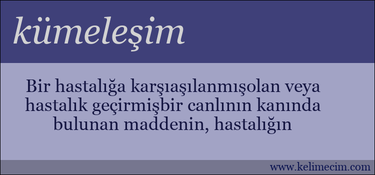 kümeleşim kelimesinin anlamı ne demek?