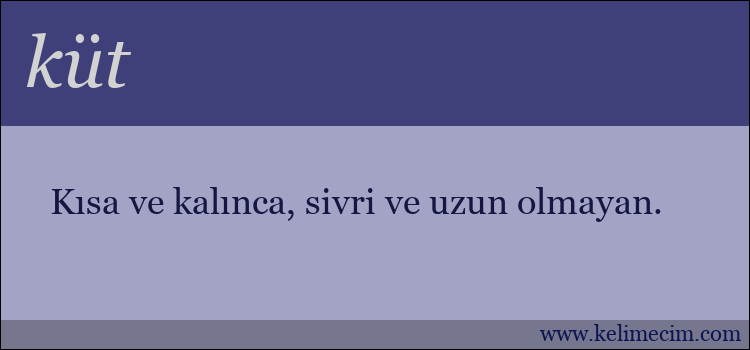 küt kelimesinin anlamı ne demek?