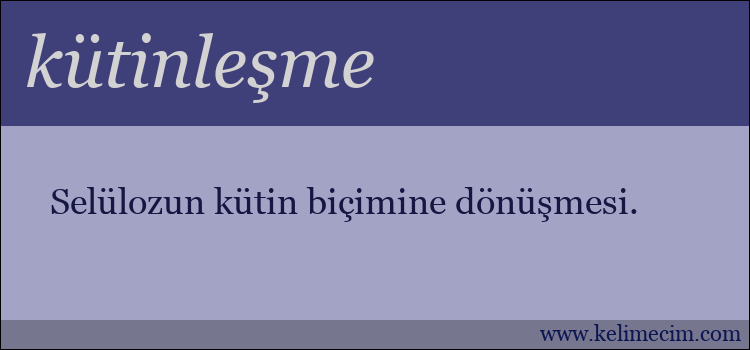 kütinleşme kelimesinin anlamı ne demek?