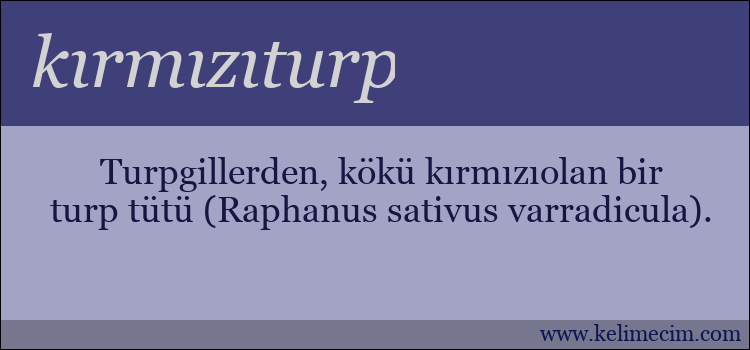 kırmızıturp kelimesinin anlamı ne demek?