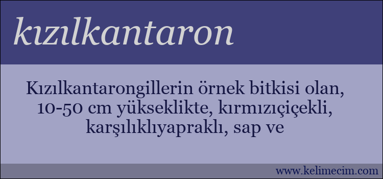 kızılkantaron kelimesinin anlamı ne demek?