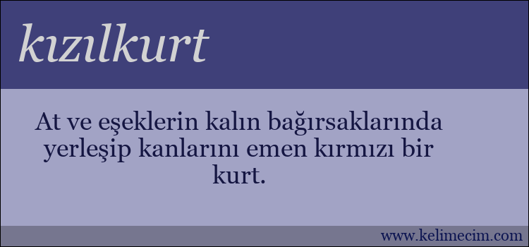 kızılkurt kelimesinin anlamı ne demek?