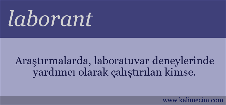 laborant kelimesinin anlamı ne demek?