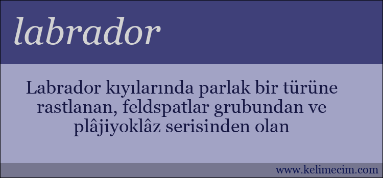 labrador kelimesinin anlamı ne demek?