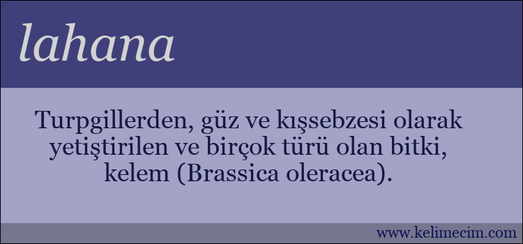 lahana kelimesinin anlamı ne demek?