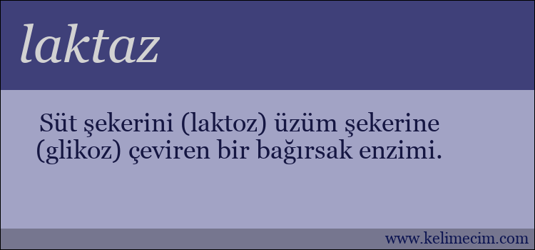 laktaz kelimesinin anlamı ne demek?