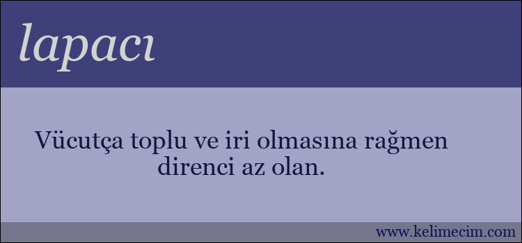 lapacı kelimesinin anlamı ne demek?