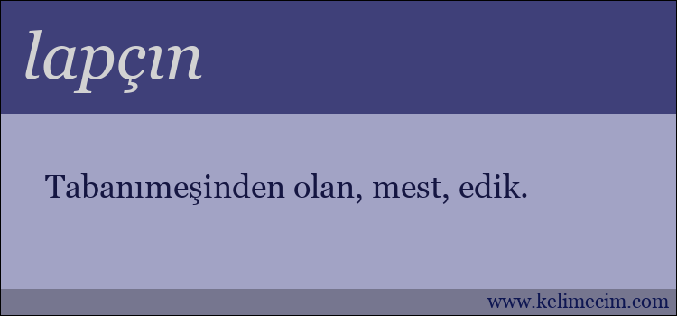 lapçın kelimesinin anlamı ne demek?