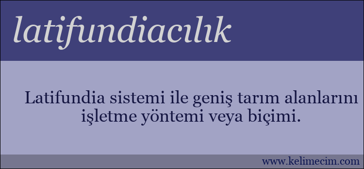 latifundiacılık kelimesinin anlamı ne demek?