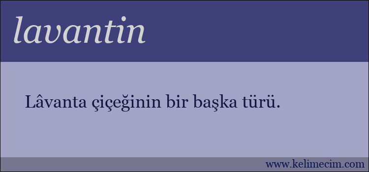 lavantin kelimesinin anlamı ne demek?