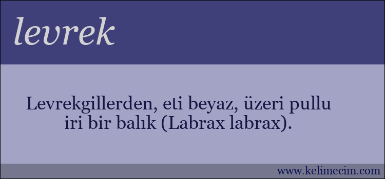 levrek kelimesinin anlamı ne demek?