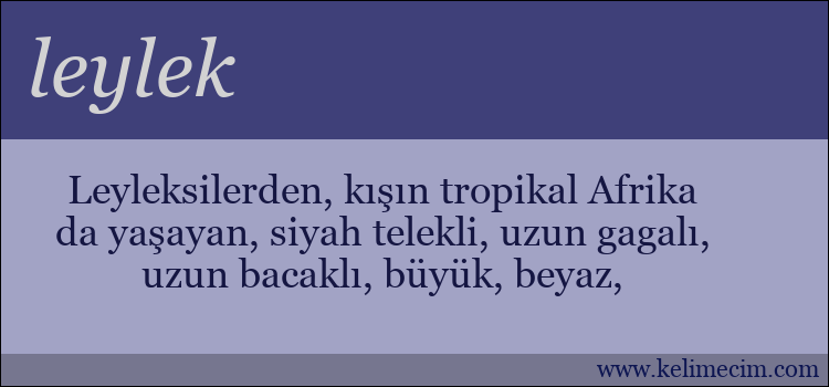 leylek kelimesinin anlamı ne demek?