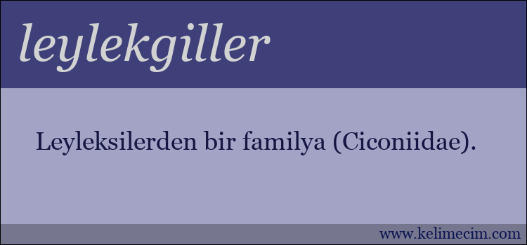 leylekgiller kelimesinin anlamı ne demek?