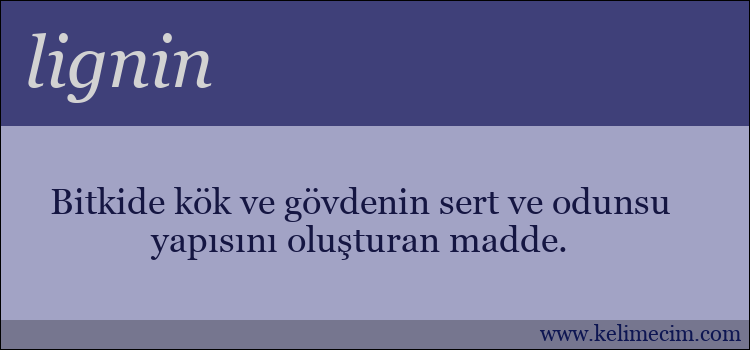 lignin kelimesinin anlamı ne demek?