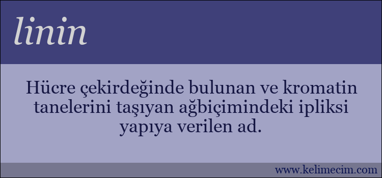 linin kelimesinin anlamı ne demek?