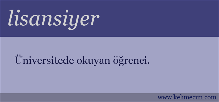 lisansiyer kelimesinin anlamı ne demek?