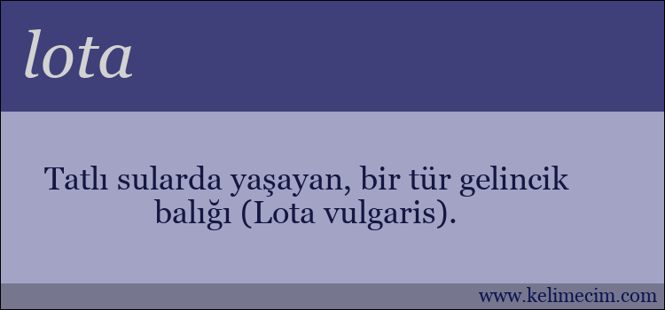 lota kelimesinin anlamı ne demek?