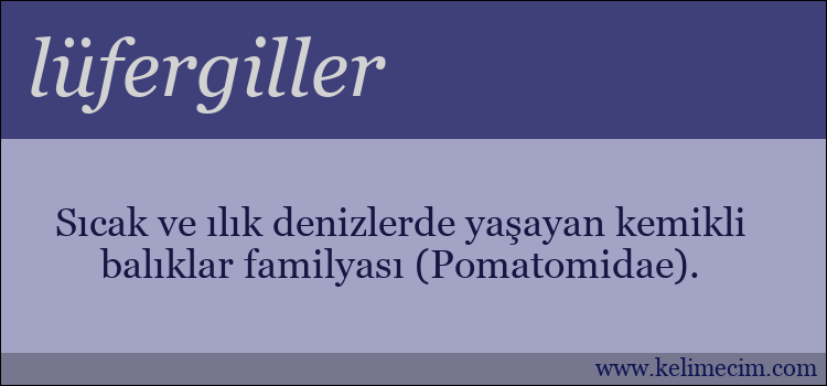 lüfergiller kelimesinin anlamı ne demek?