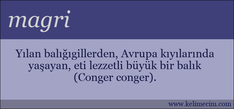 magri kelimesinin anlamı ne demek?