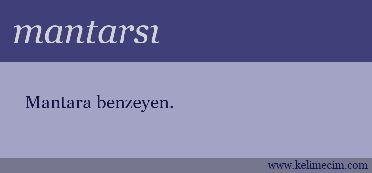 mantarsı kelimesinin anlamı ne demek?