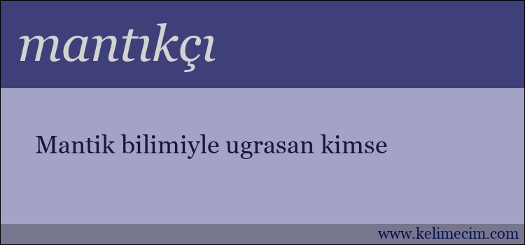 mantıkçı kelimesinin anlamı ne demek?