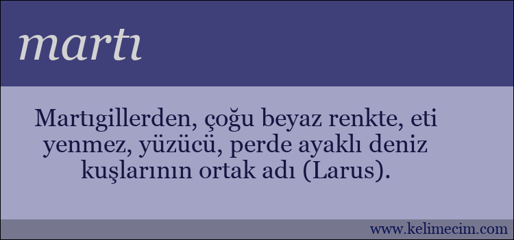 martı kelimesinin anlamı ne demek?