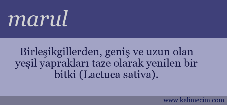 marul kelimesinin anlamı ne demek?