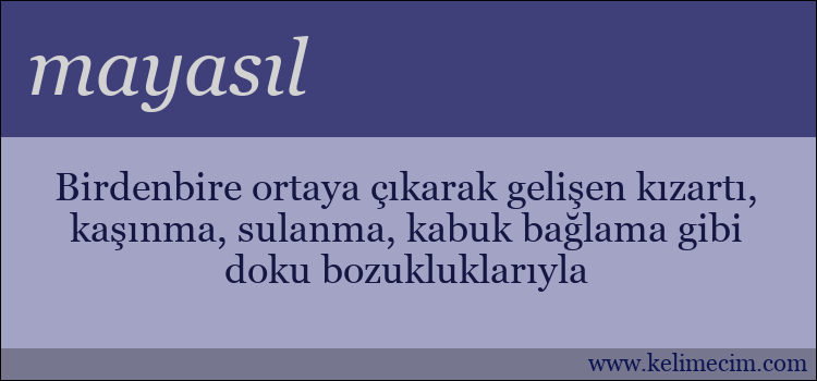 mayasıl kelimesinin anlamı ne demek?