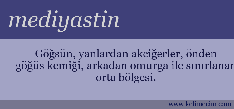 mediyastin kelimesinin anlamı ne demek?