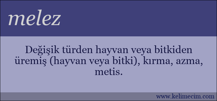 melez kelimesinin anlamı ne demek?