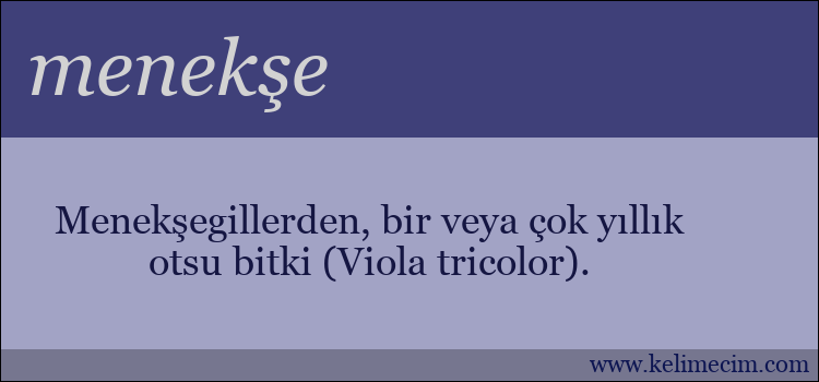 menekşe kelimesinin anlamı ne demek?