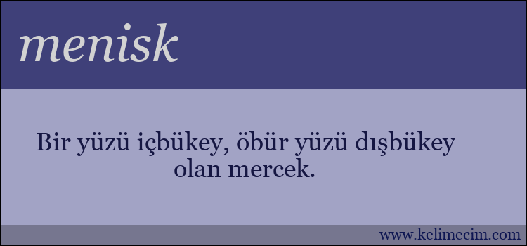 menisk kelimesinin anlamı ne demek?