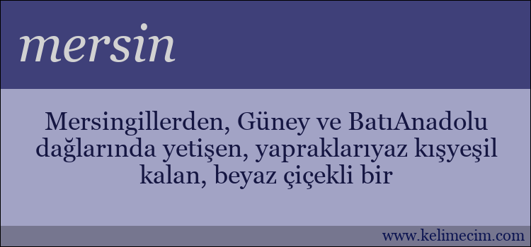 mersin kelimesinin anlamı ne demek?