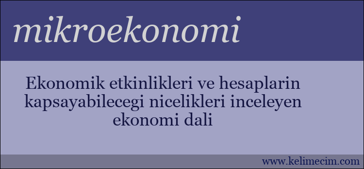 mikroekonomi kelimesinin anlamı ne demek?