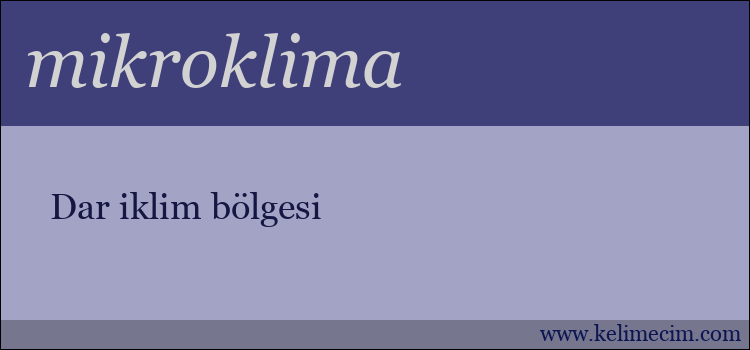 mikroklima kelimesinin anlamı ne demek?